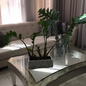 Meet your Posher, Dayana